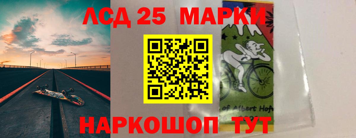 Галлюциногенные грибы Елец