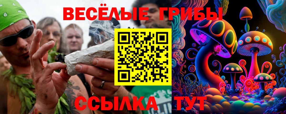 Псилоцибиновые грибы Psilocybine cubensis  Вход с VPN  Елец 